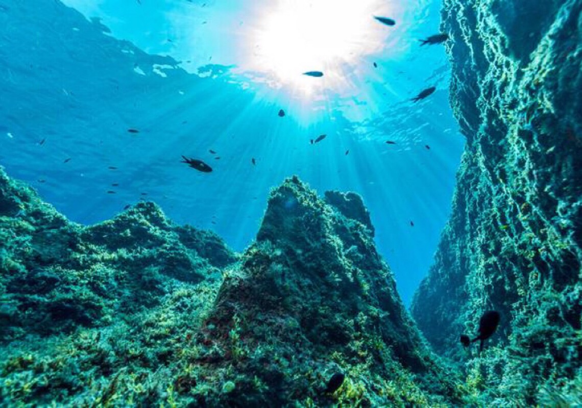 Conferência dos Oceanos pedirá mais ação por biodiversidade e contra poluição plástica