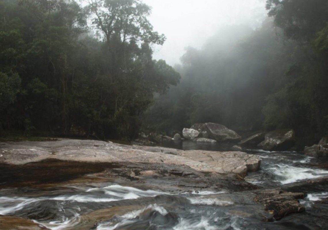 Parque das Neblinas registra novos flagras do bioma local com interações curiosas