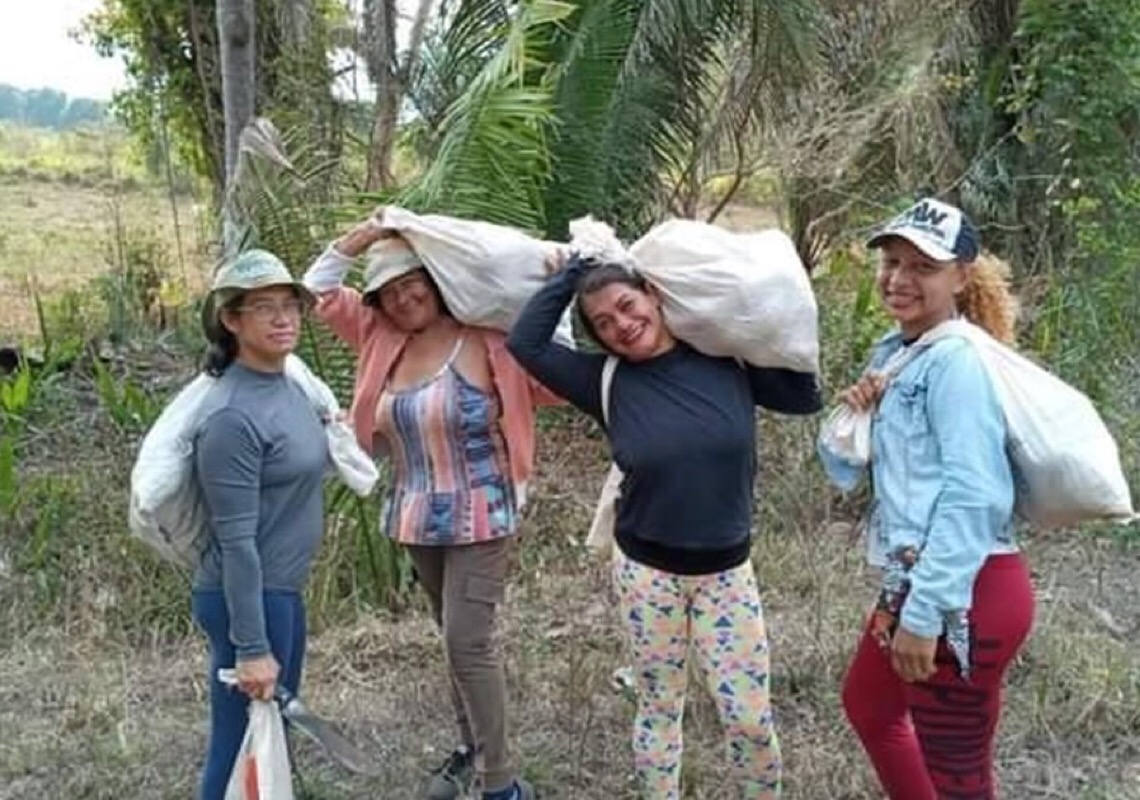 Número de mulheres líderes de propriedades rurais aumenta em 44,2%