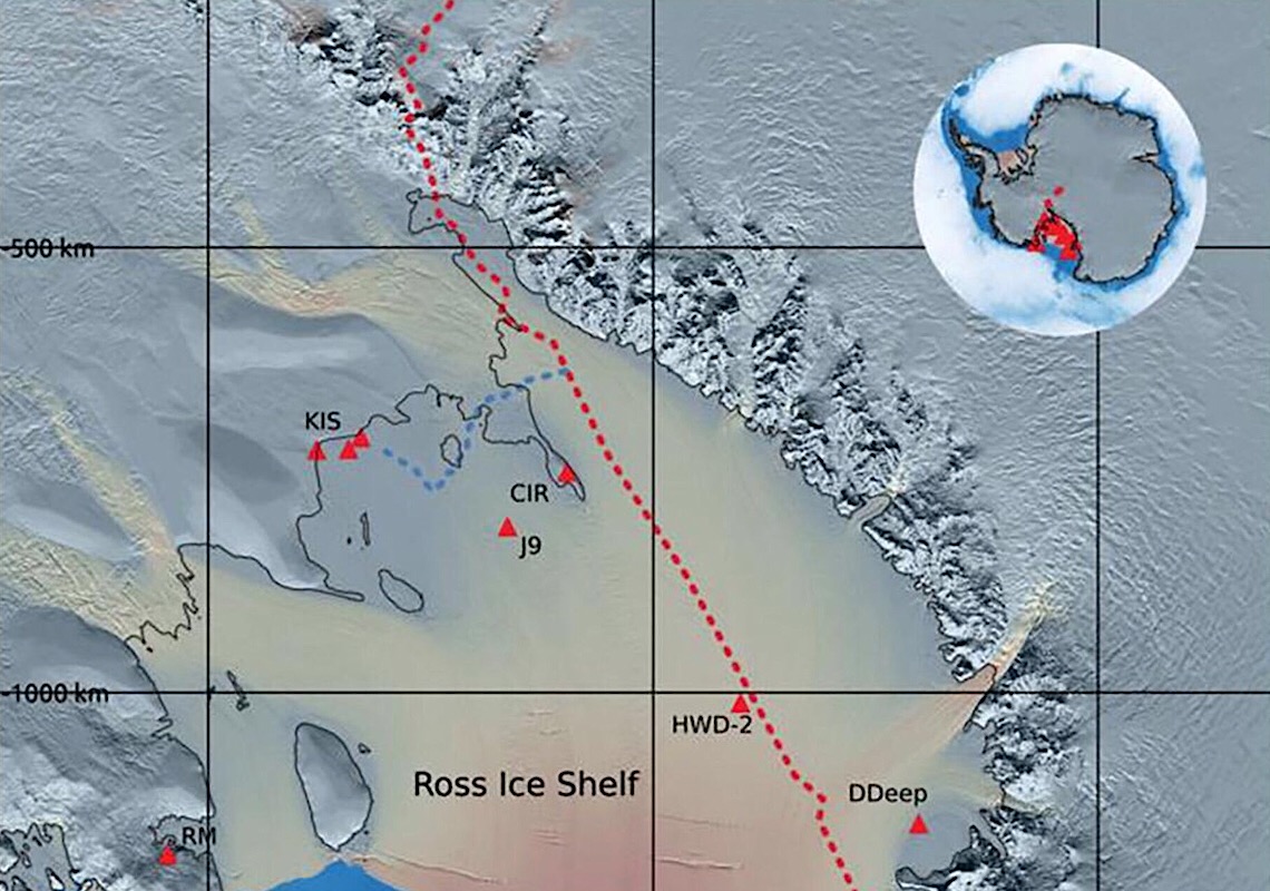 Mudança climática revela seres semelhantes a caranguejos debaixo do gelo da Antártica