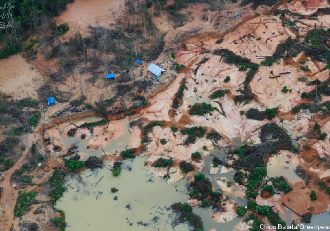 Amazônia perdeu área similar a 2 mil campos de futebol por dia, diz Imazon