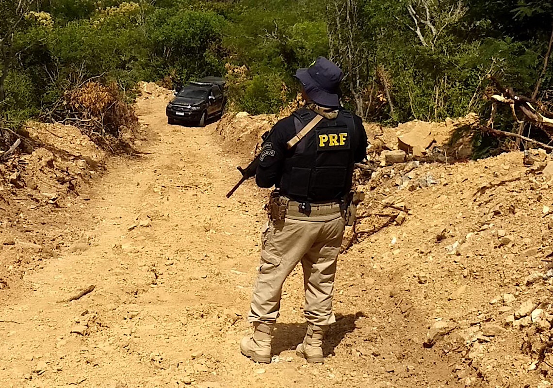 Polícia Rodoviária Federal resgata mais de 500 aves silvestres no Rio