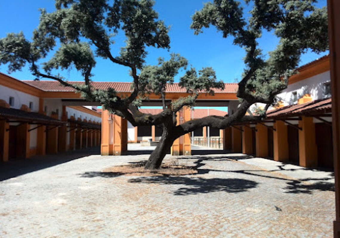 Quatro experiências dignas de realeza no Alentejo