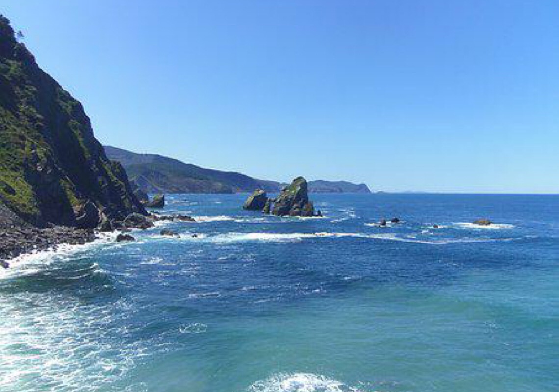 Vinícola subaquática é bem-sucedida perto de Bilbau, Espanha