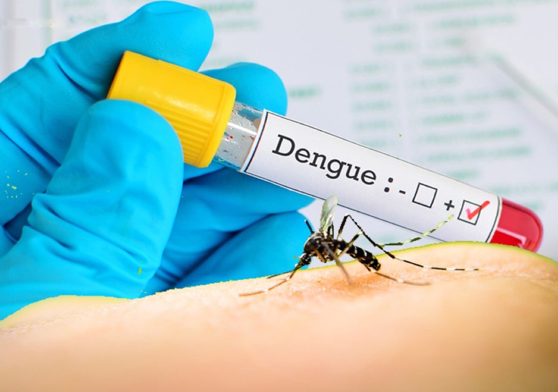 Em seis meses, Brasil já registra 130% mais mortes por dengue