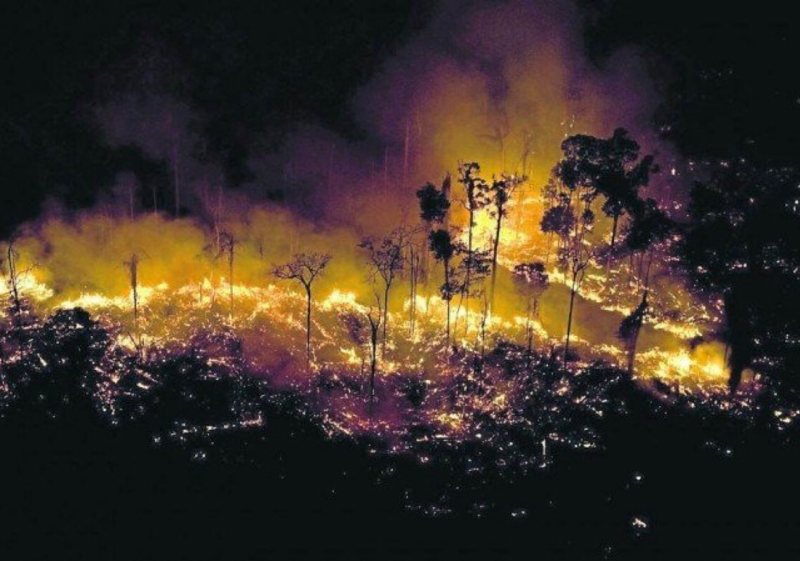 Amazônia e Cerrado registraram recordes no número de queimadas, aponta Inpe