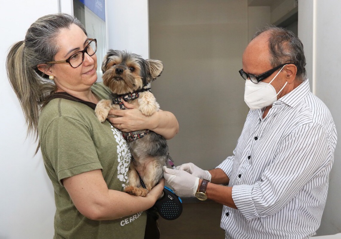 Aproveite a campanha antirrábica para atualizar a vacinação de seu pet