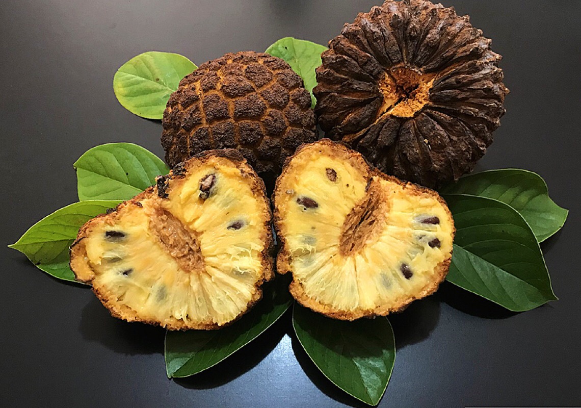 O fruto do cerrado que deu identidade a um município no sul de Minas
