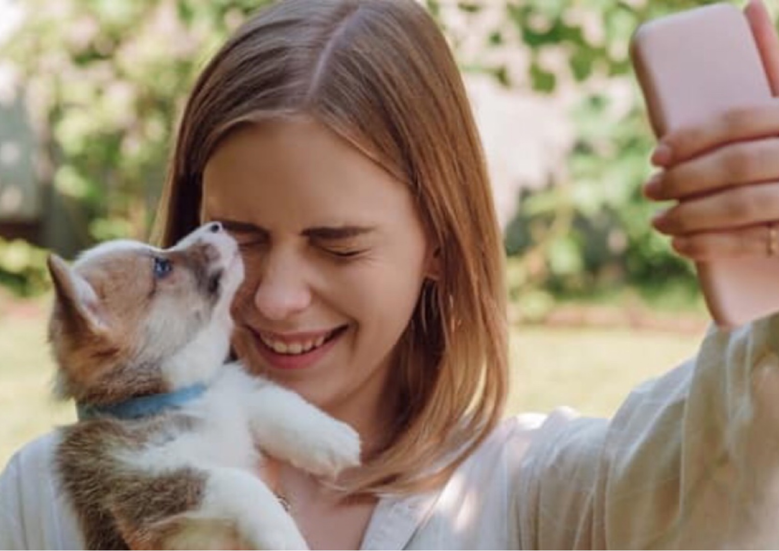 Como tornar seu animal um influenciador digital?