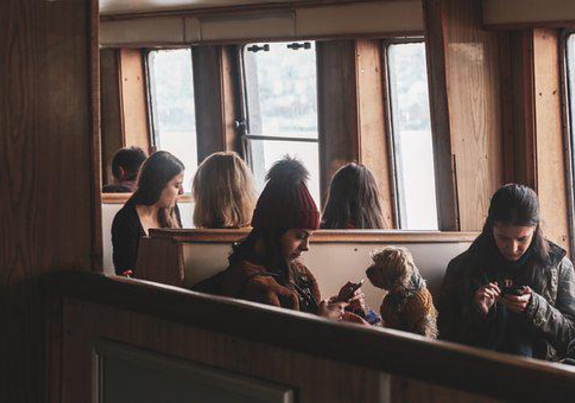 Transporte de cachorro e gatos: Como levar seu pet sem ter um carro