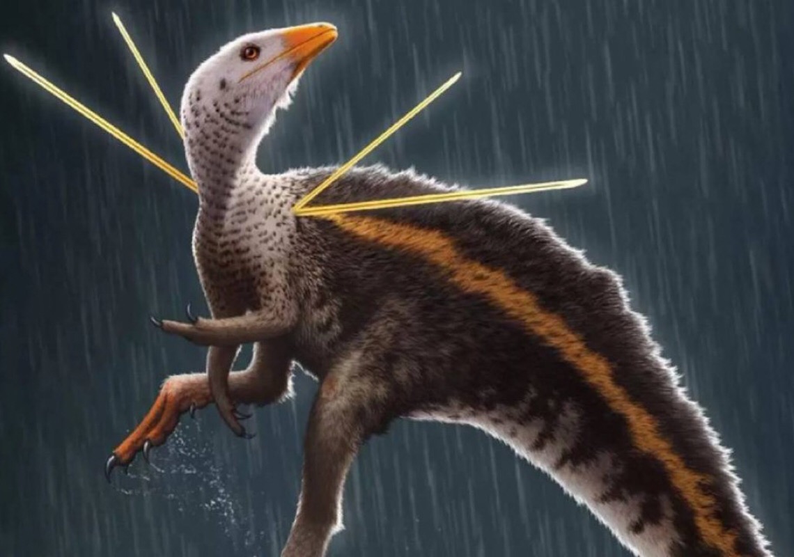Museu alemão devolverá fóssil de dinossauro levado irregularmente do Brasil