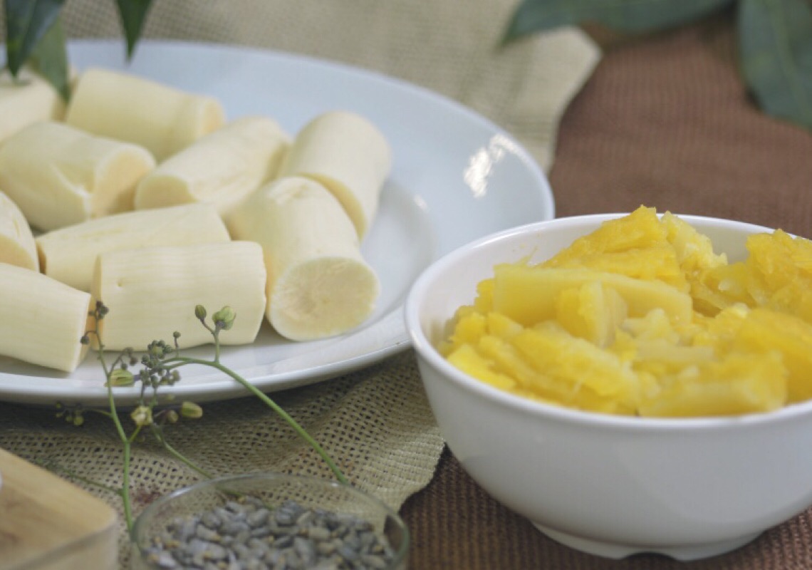 Lançamento da cultivar de mandioca de mesa BRS 429 para o DF e Entorno