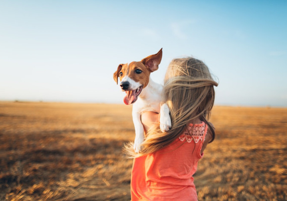 Darling Ingredients adquire a maior empresa de reciclagem animal do Brasil