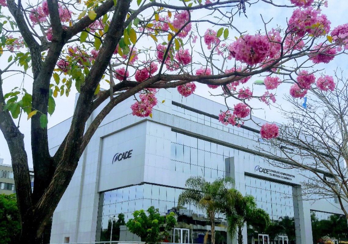 Cade condena empresas por cartel de lanchonetes em aeroportos