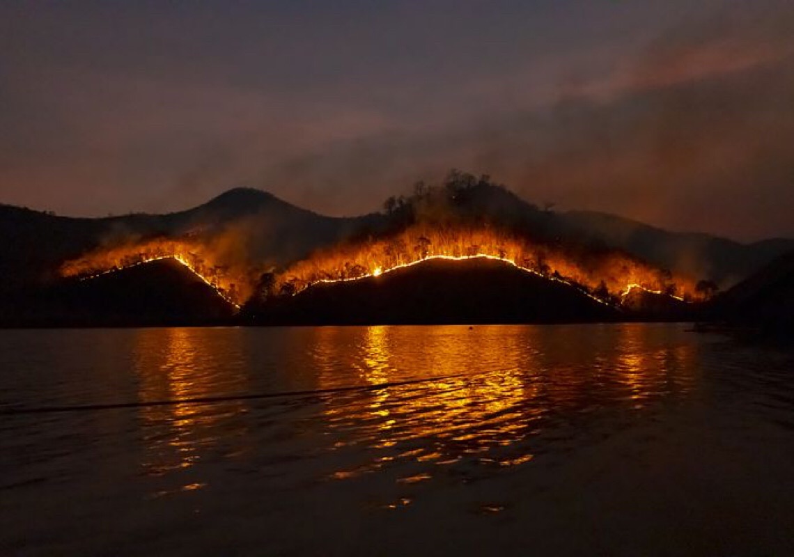 Incêndios florestais se espalham e peixes morrem em meio a seca na Europa