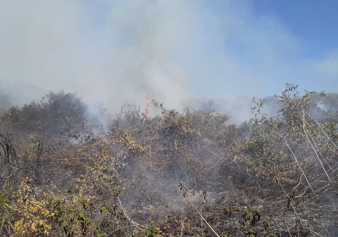 Governo federal reconhece emergência em cidades de Mato Grosso do Sul