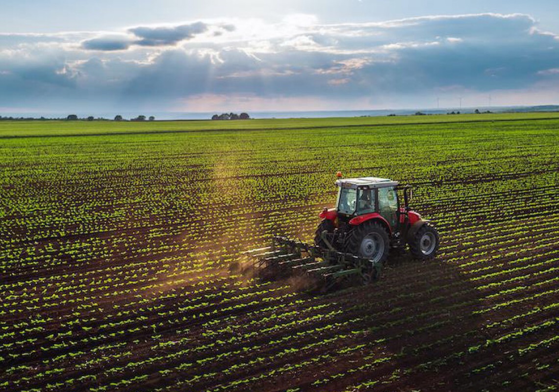 Portugal anuncia ajuda financeira a agricultores
