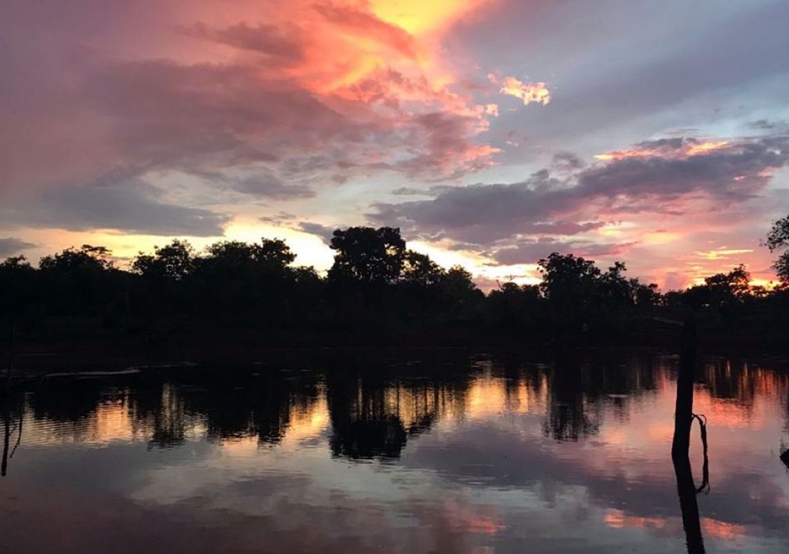 Bioma Cerrado, berço das águas, é celebrado neste domingo