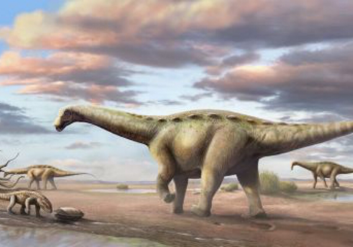 Nova espécie de dinossauro anão é descoberta no interior de SP