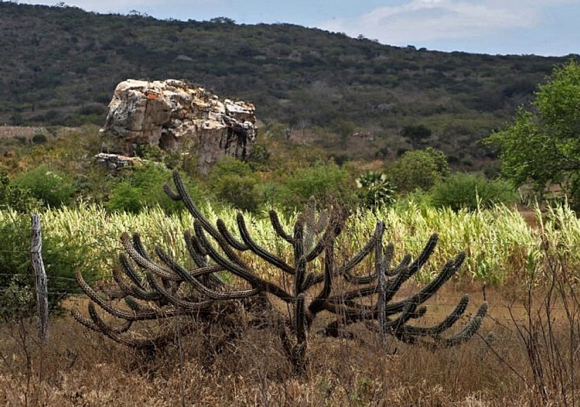 Cuidar do meio ambiente é missão de todos