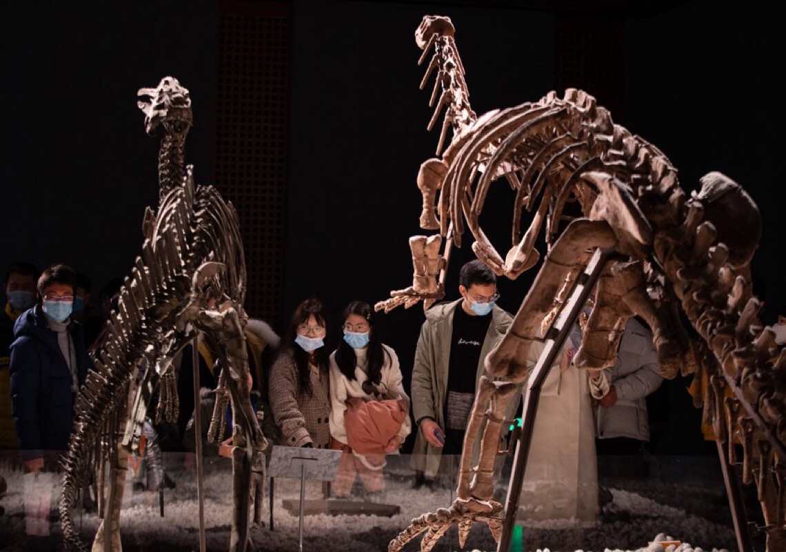  Extinção dos dinossauros começou 2 milhões de anos antes do conhecido