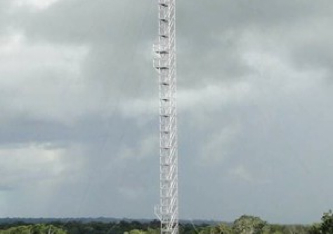 Torres de 35m no meio da Amazônia vão medir estragos climáticos