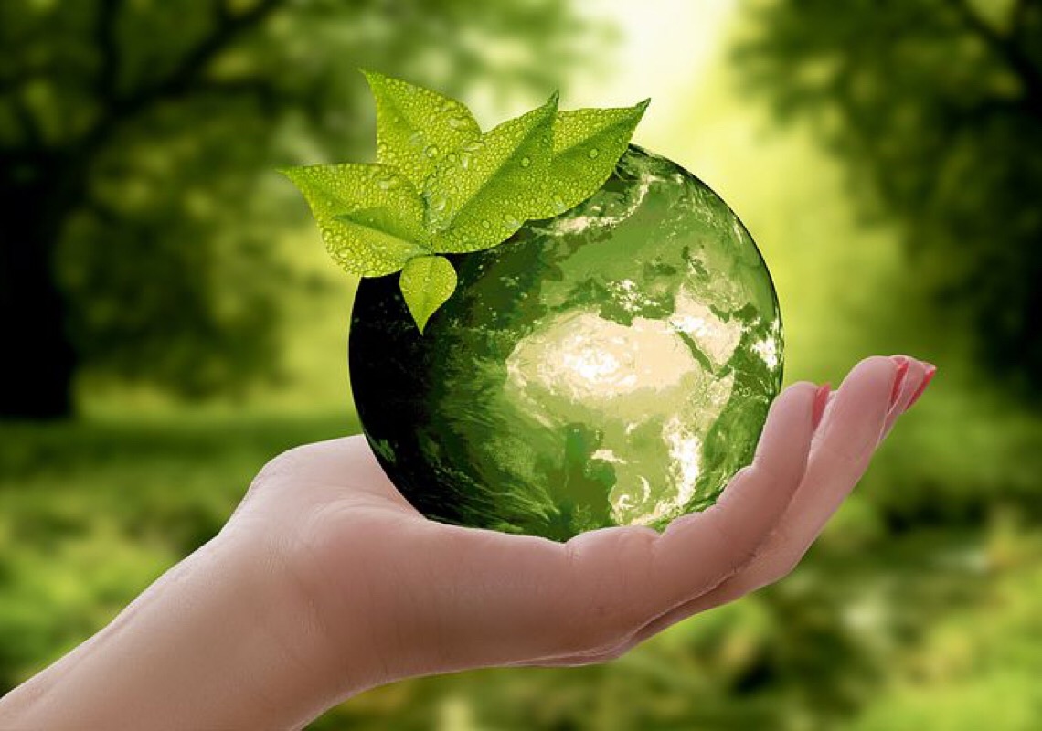 TE Connectivity é premiada por inovações tecnológicas sustentáveis destinadas aos setores de energia, indústria e transporte