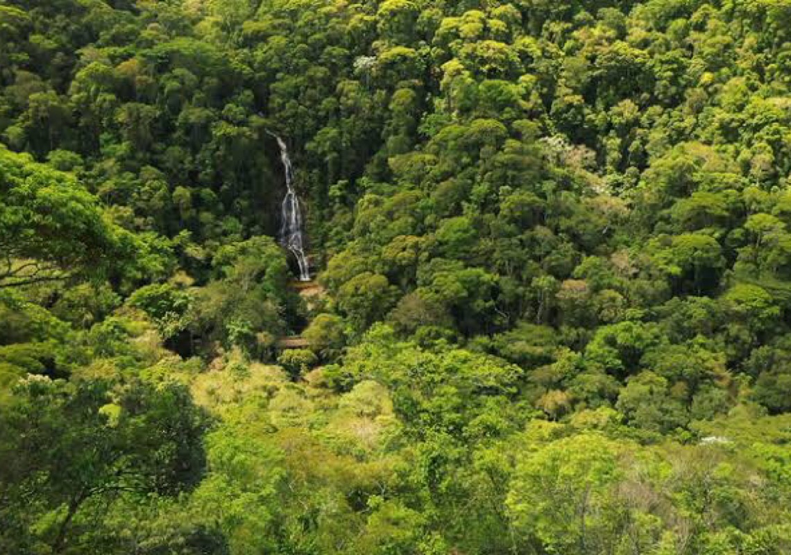 Reserva da Mata Atlântica transforma áreas há 18 anos