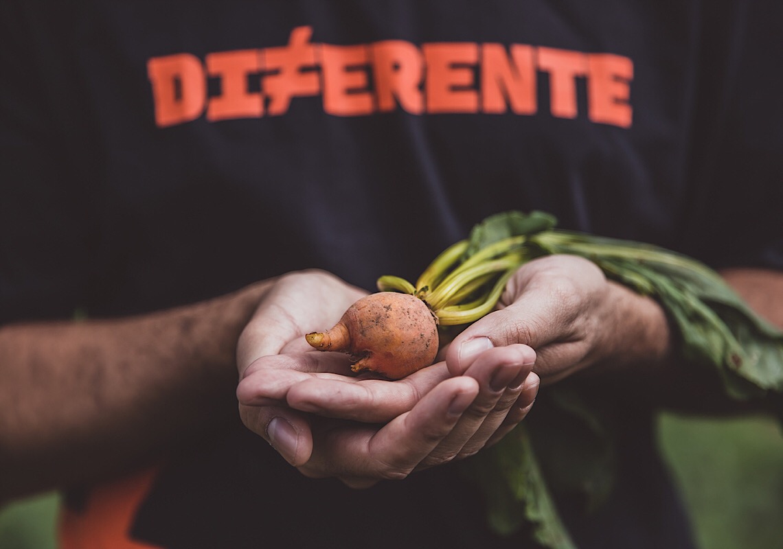 Por que o brasileiro desperdiça tanto alimento e como podemos combater esse 