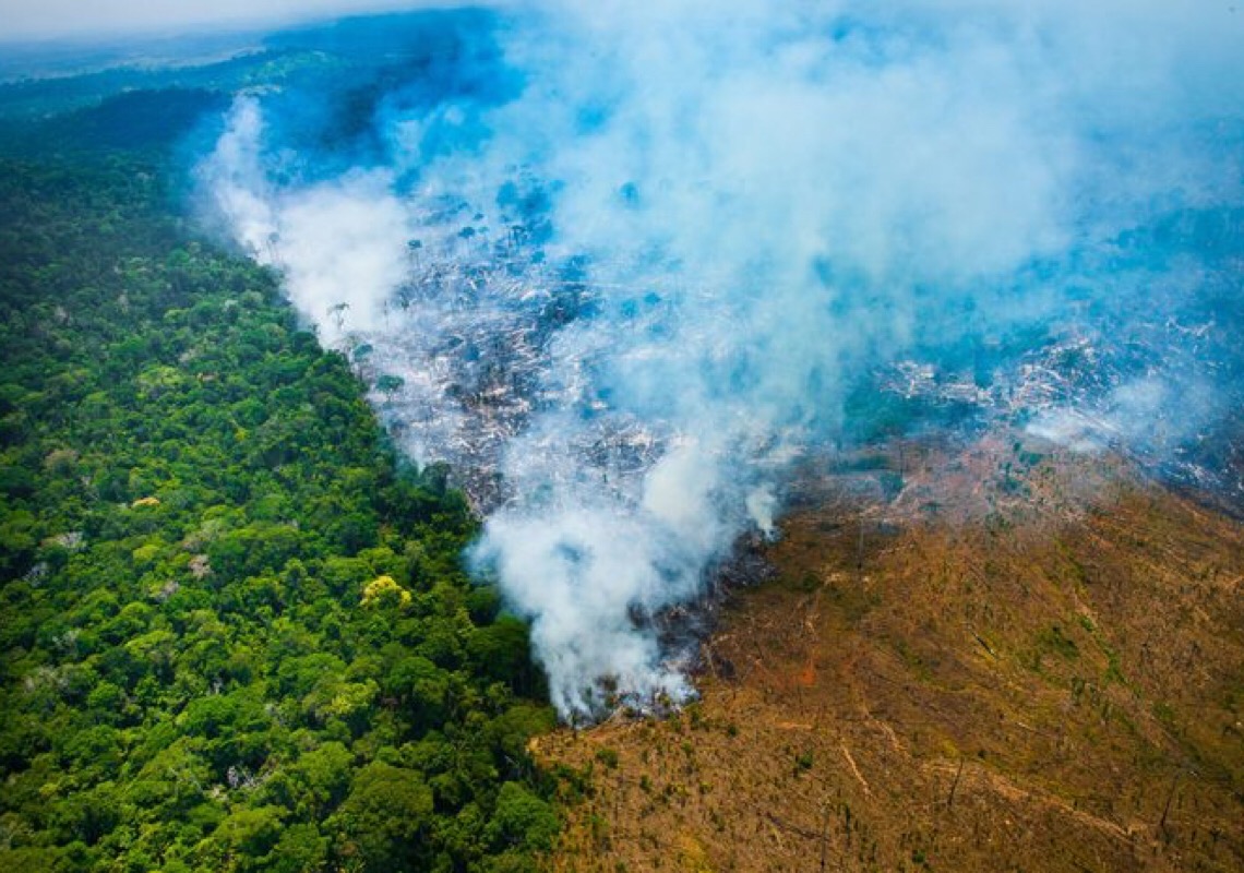 A política ambiental brasileira: do desmonte à esperança de reconstrução