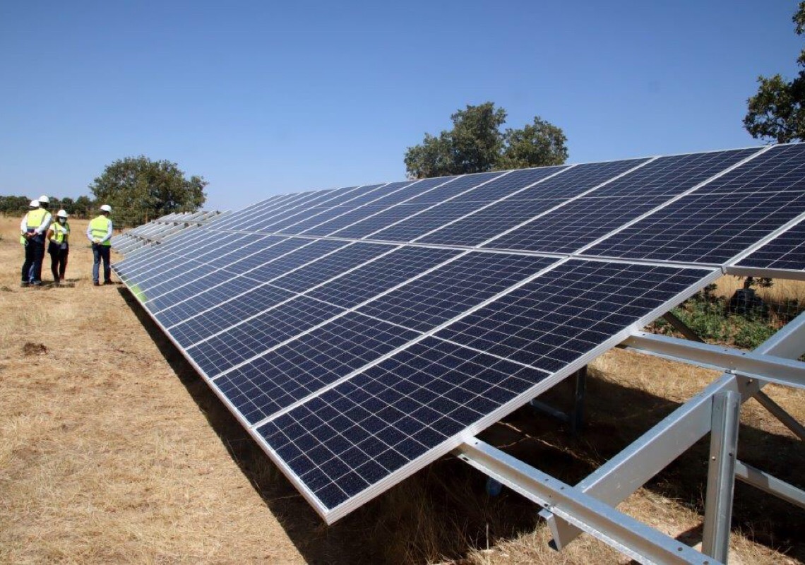 Abertas candidaturas para aquisição e instalação de painéis fotovoltaicos nas explorações agrícolas