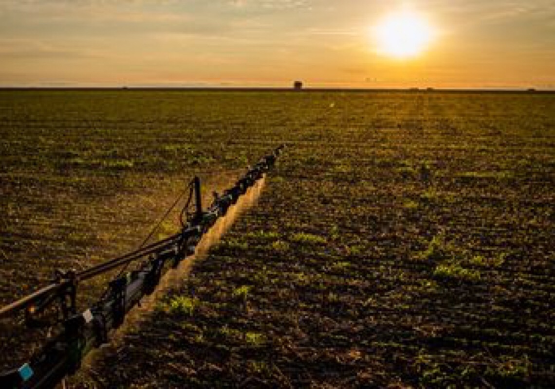 IBGE: 32% dos solos do país têm potencial natural para a agricultura