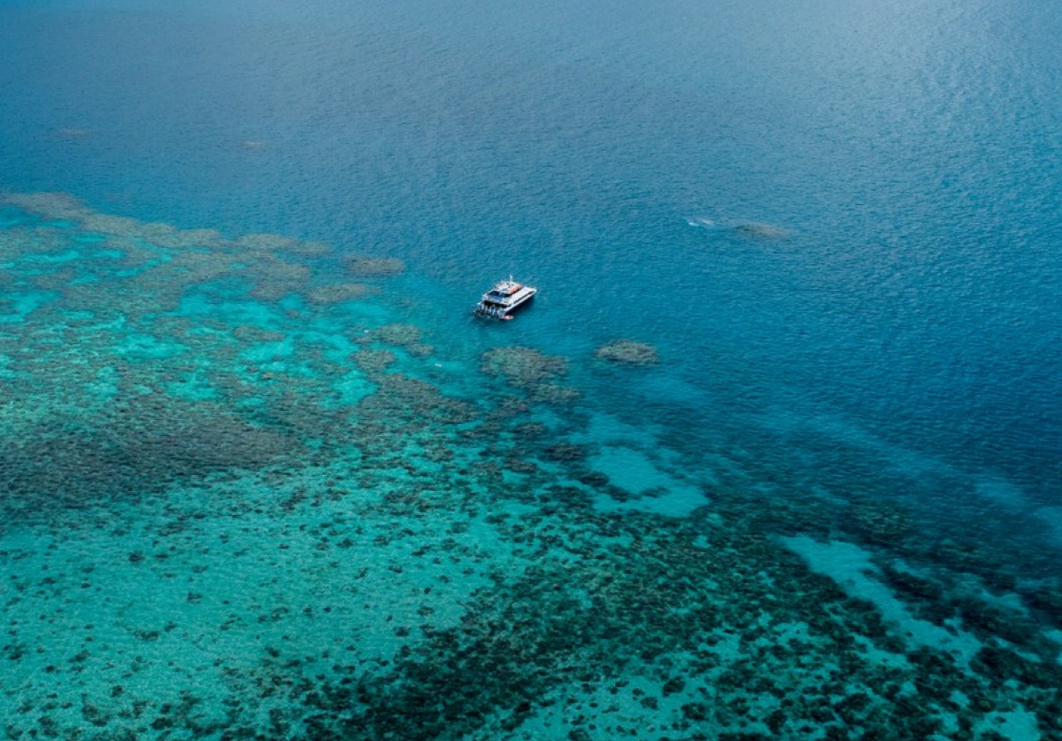 Presidente da autoridade da Grande Barreira de Coral destaca a oportunidade oferecida pela COP15 para deter a perda de biodiversidade
