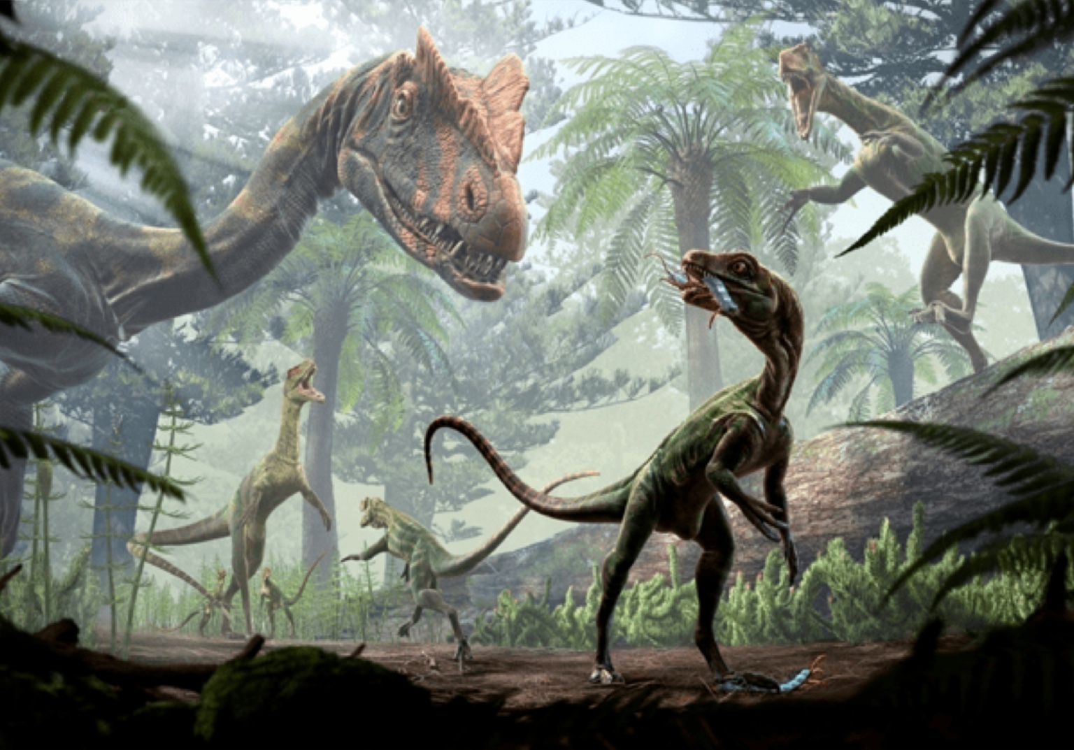 Novo Guia de Dinossauros do Brasil inclui 54 descobertas