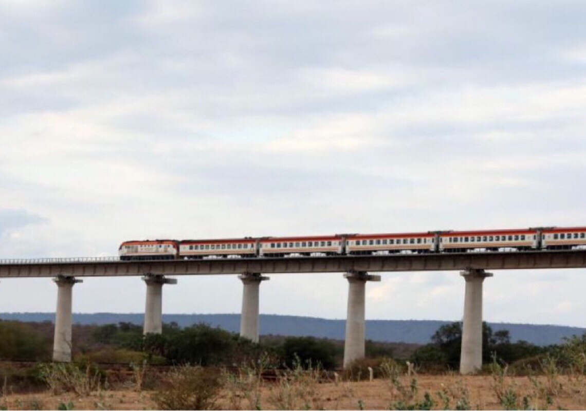 Ferrovia construída pela China em harmonia com a conservação da vida selvagem no leste da África