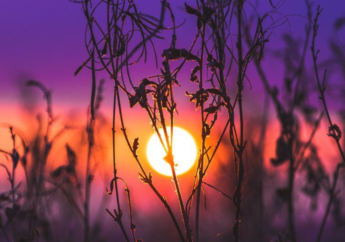 Ano de 2023 começa quente na Europa e quebra recordes de temperatura