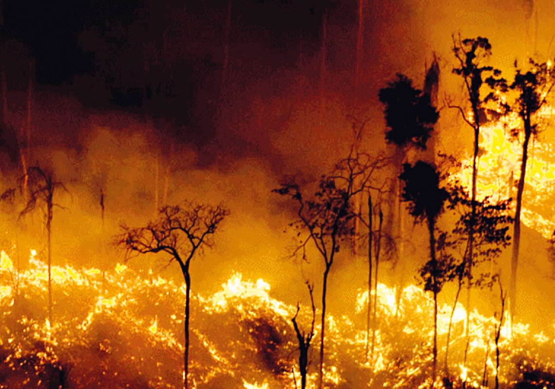 Tragédia anunciada: destruição da Amazônia será 