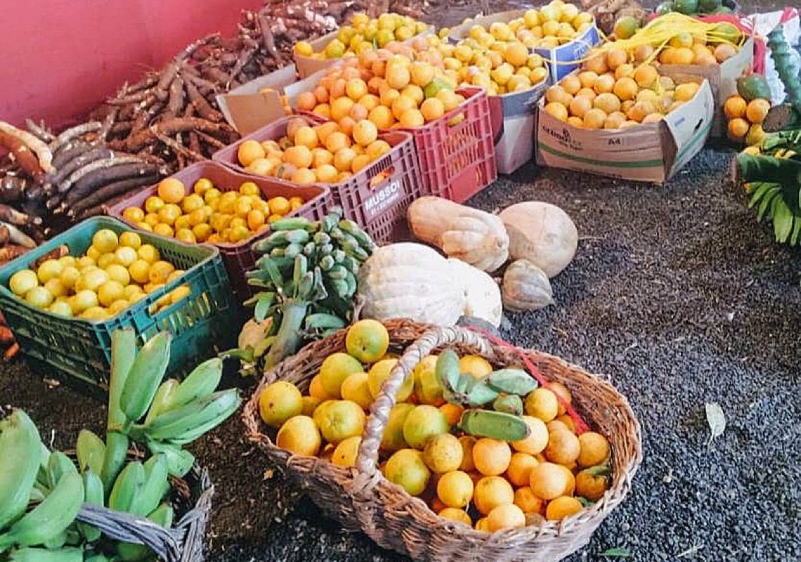 Qual a relação entre a alimentação saudável e a prevenção do câncer? Entenda e confira dicas