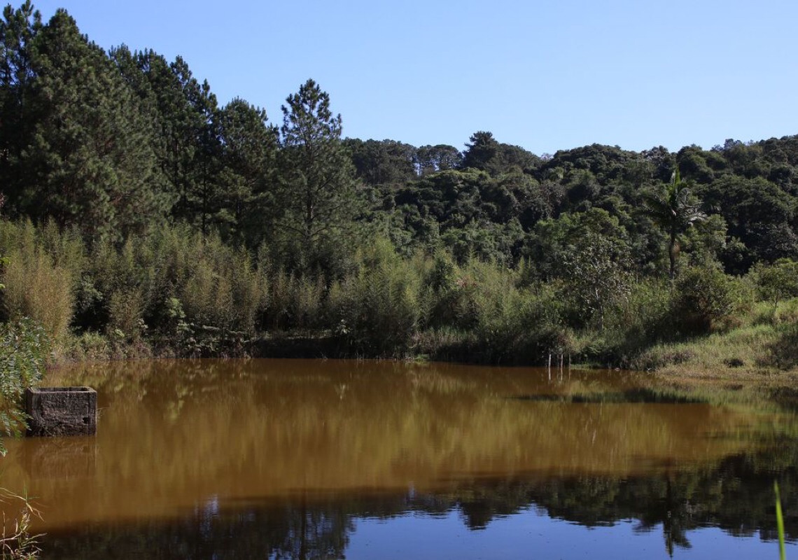 Brasil ganha 1,7 milhão de hectares de superfície de água em 2022
