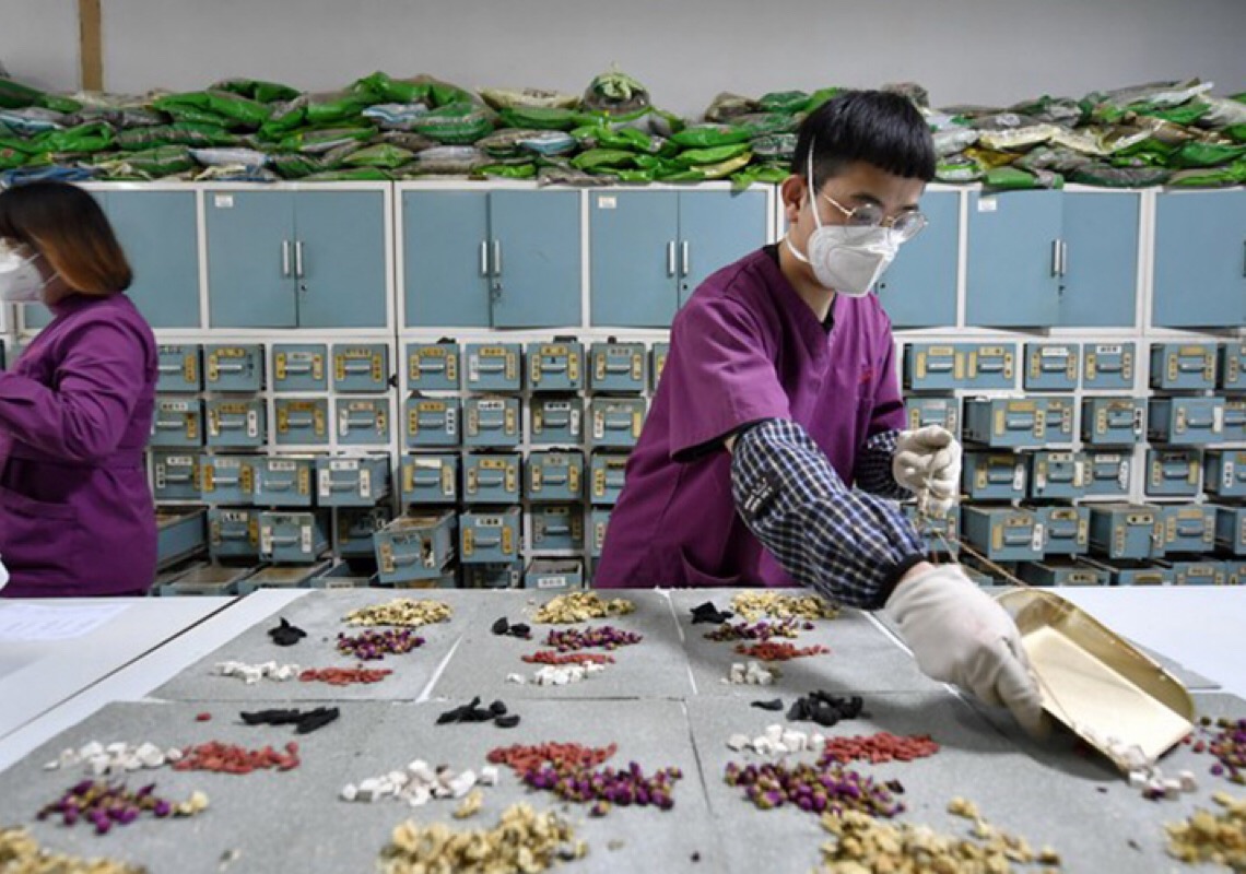  Identificadas 163 novas espécies de ervas no censo da medicina tradicional chinesa