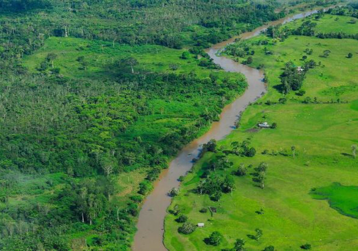 Ação da ONU com parceiros ajuda a combater “cegueira do rio” na Amazônia