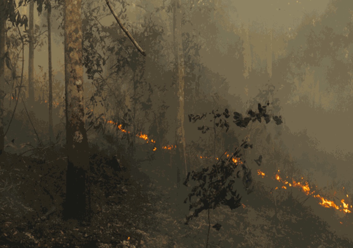 Acampamento isolado no coração da Amazônia pesquisa efeitos da crise do clima
