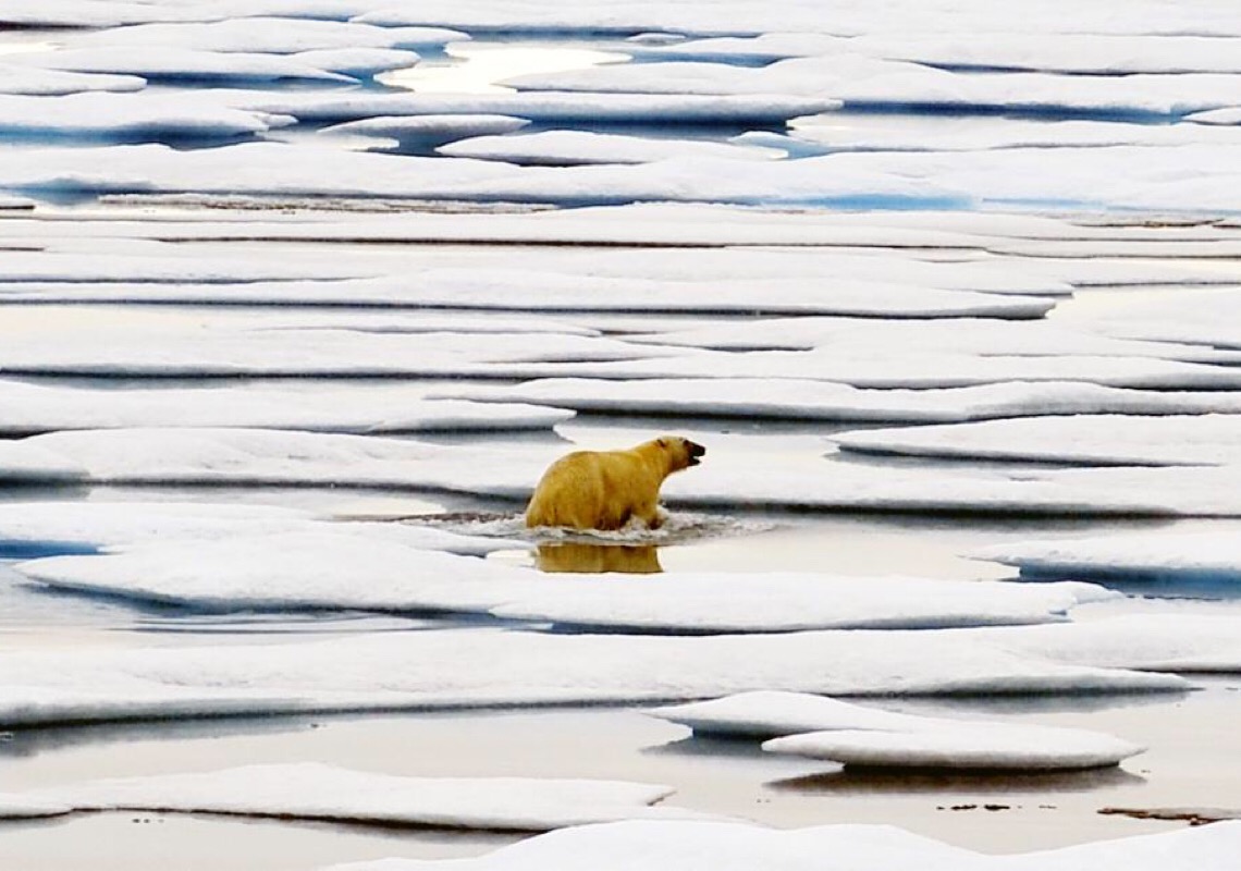 Novo estudo atribui clima frio extremo em latitude média a perda de gelo marinho no Ártico