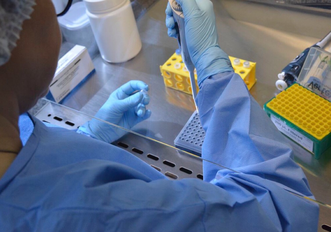 Daqui a 10 anos, pandemia de um novo vírus perigoso pode atingir mundo, diz mídia