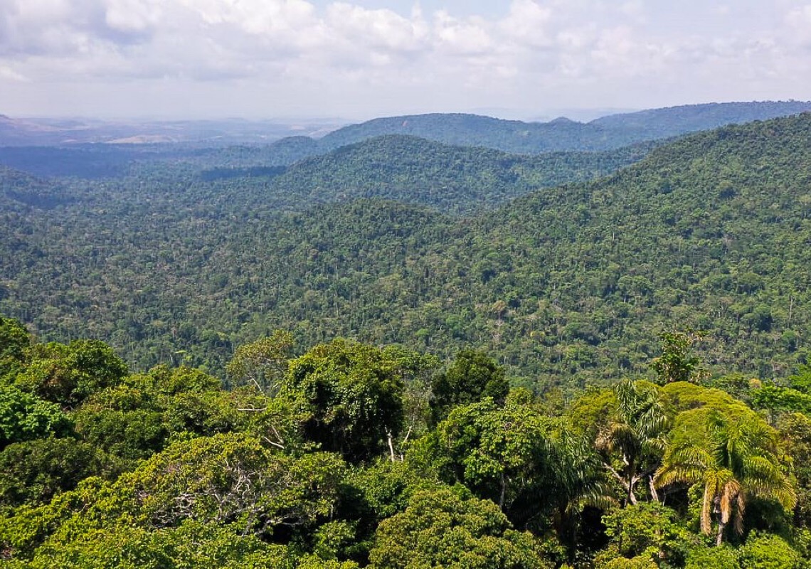 O que é Fundo Amazônia?