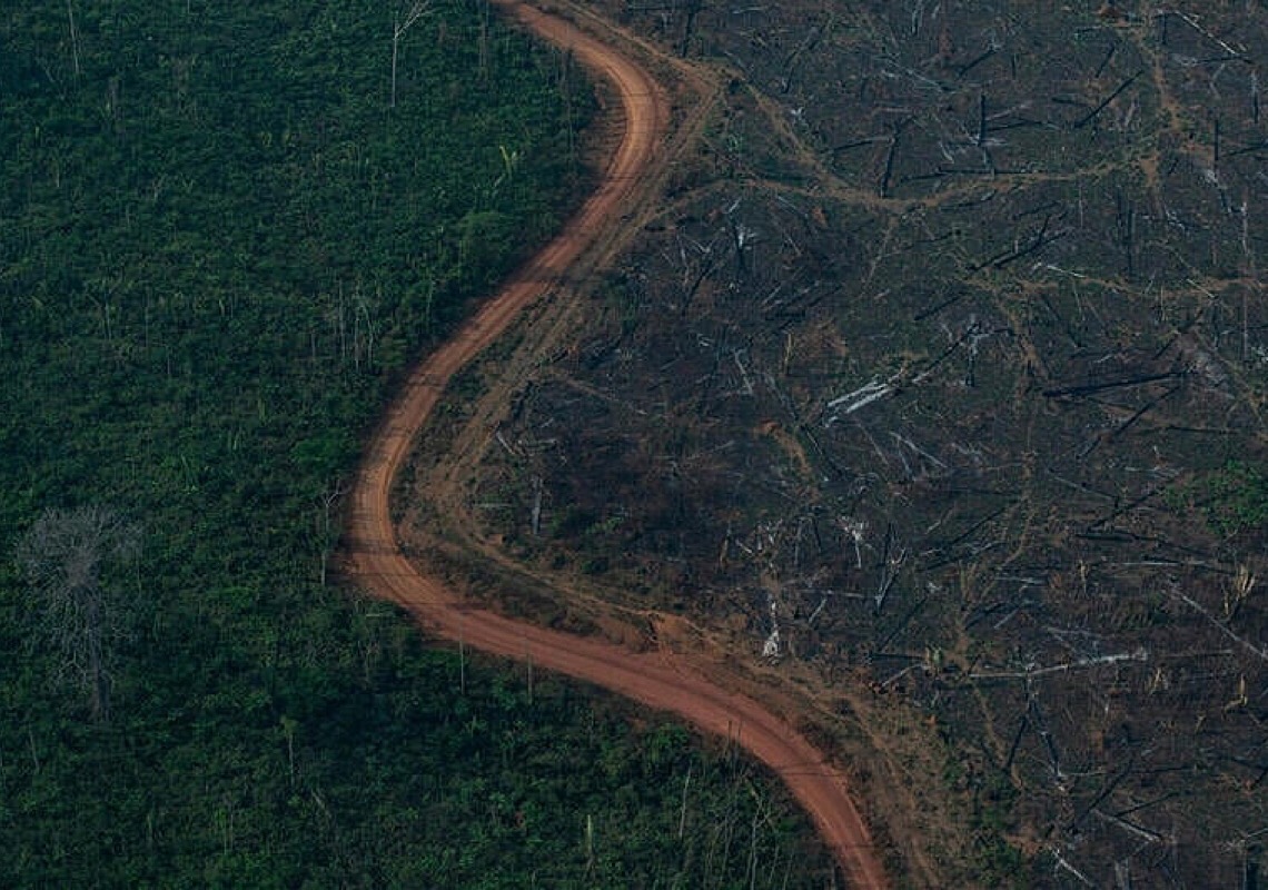Inpe: alertas de desmatamento caem 40% na Amazônia, mas sobem no Cerrado 