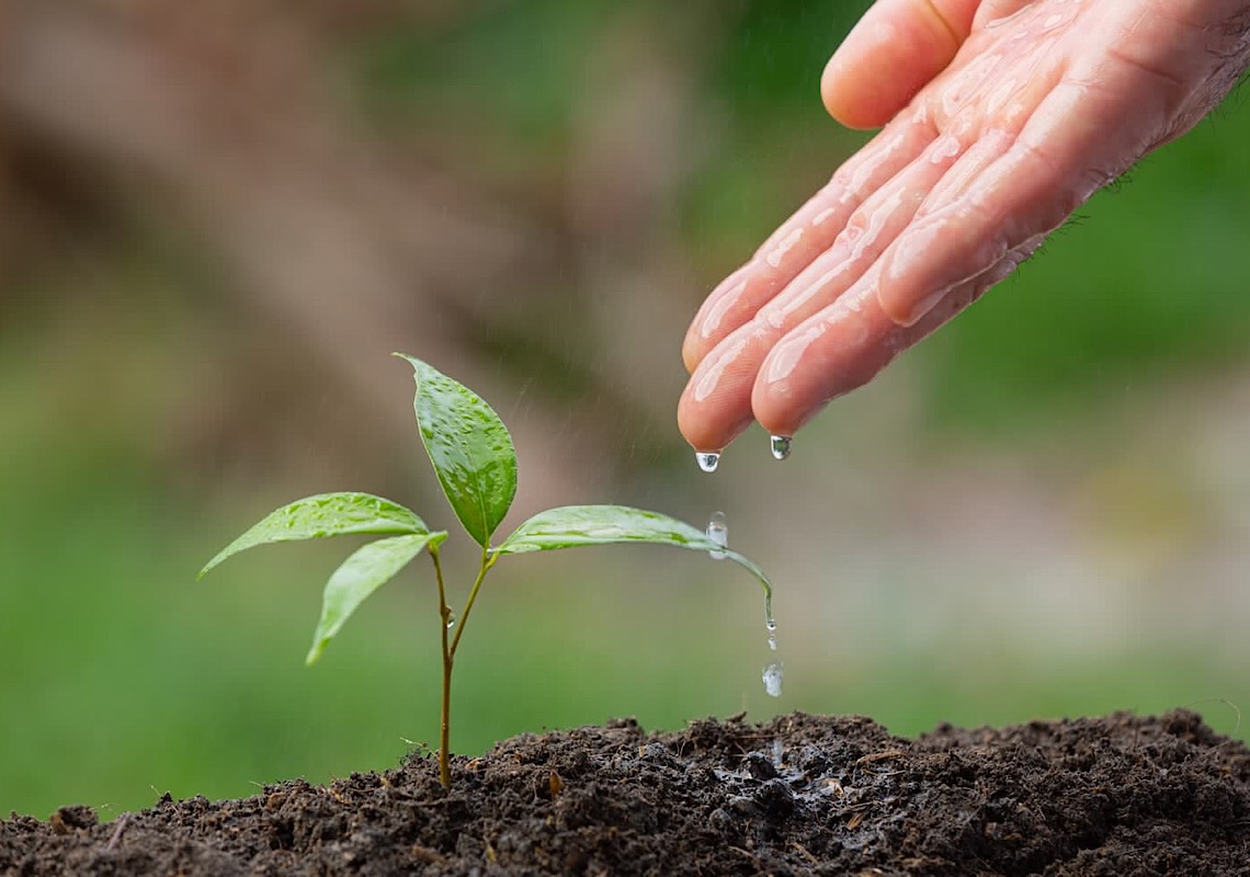 Como o consumo consciente pode ajudar a proteger o meio ambiente?