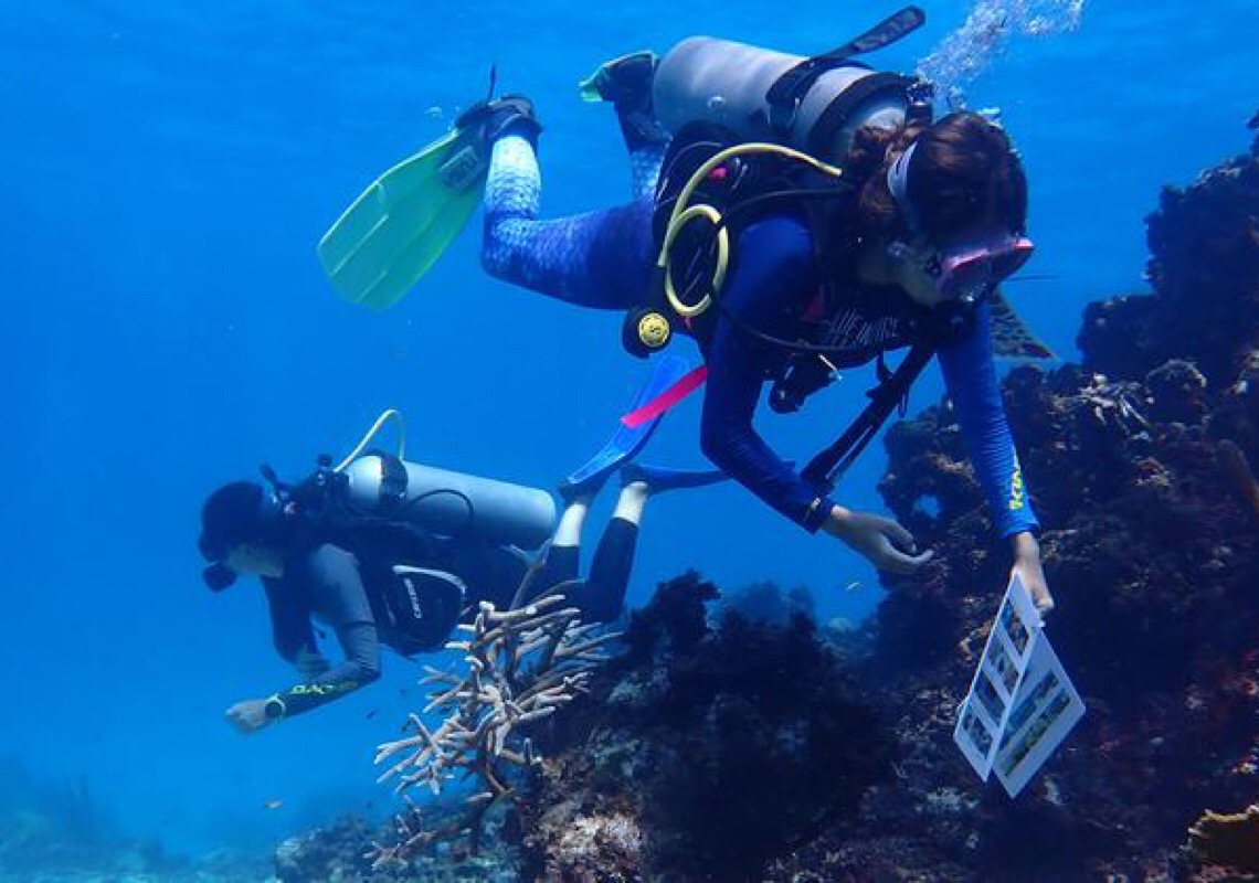 Programa de mentoria impulsiona igualdade de gênero em pesquisa marinha