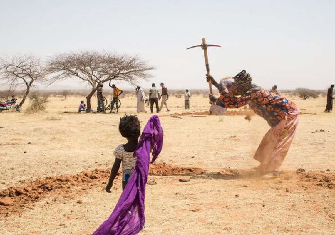 Em Dia Mundial, ONU destaca papel das mulheres no combate à desertificação