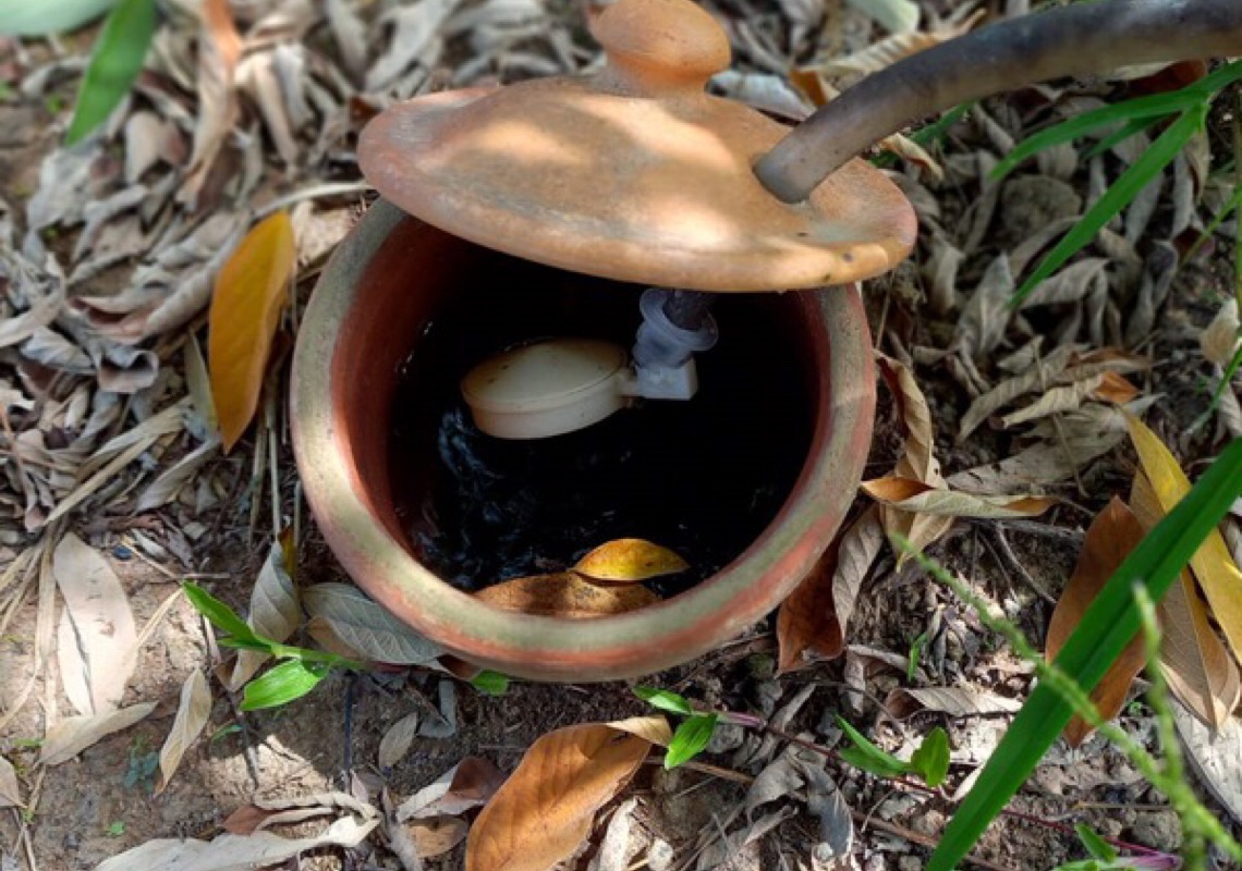 Live de Tecnologia Social do Inpa apresenta projeto sustentável de irrigação em sistemas agroflorestais utilizando potes de argila